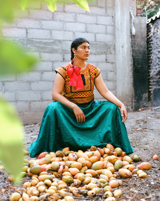 Nuevas Ancestras de Jahel Guerra Roa : Encuentros con las mujeres del Istmo de Tehuantepec